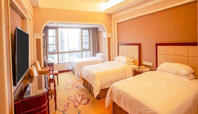 Vienna Hotel Shenzhen Songgang Liye Road