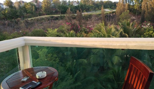 Viet's aparment