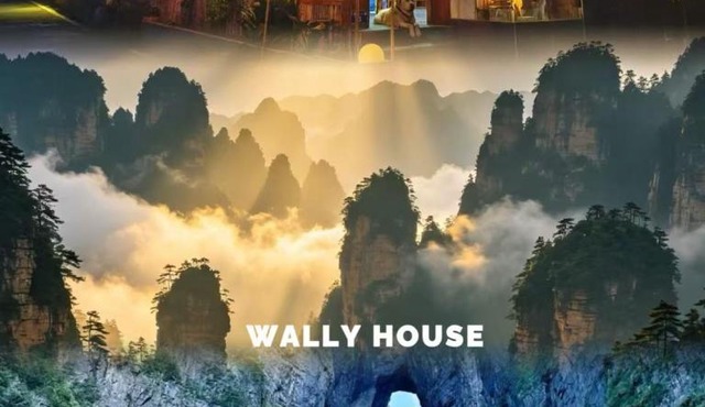 Wally House Hostel - walk 5 minutes to east gate of National Forest Park-ticket book services-free laundry facilities-free capsule coffee-Tour route introduction and tour guide arrangement