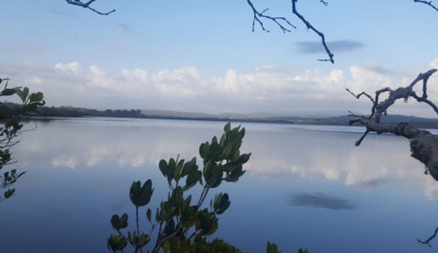 Waterfront Estuary Fishing Escape