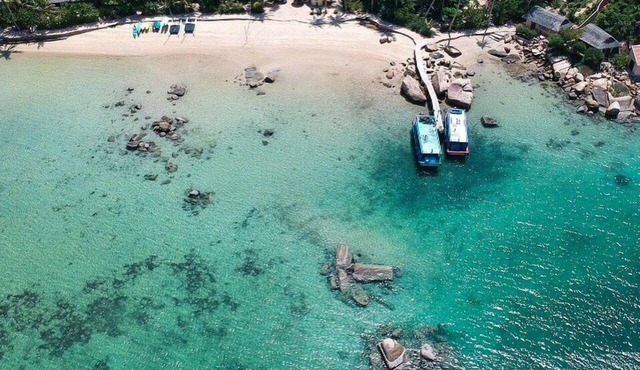 Whale Island Resort
