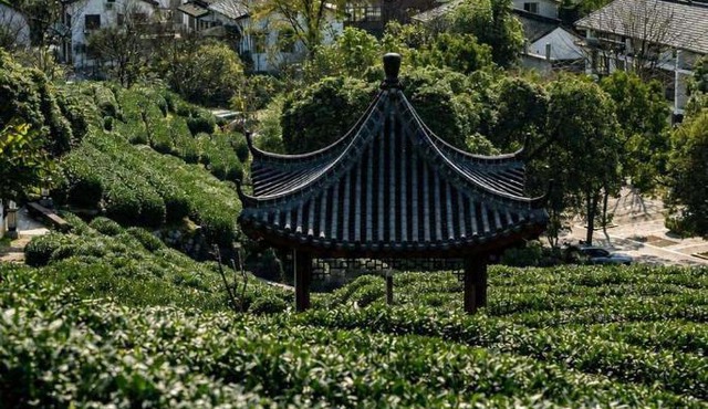 WuTiaXinShe Guesthouse (West Lake Branch)