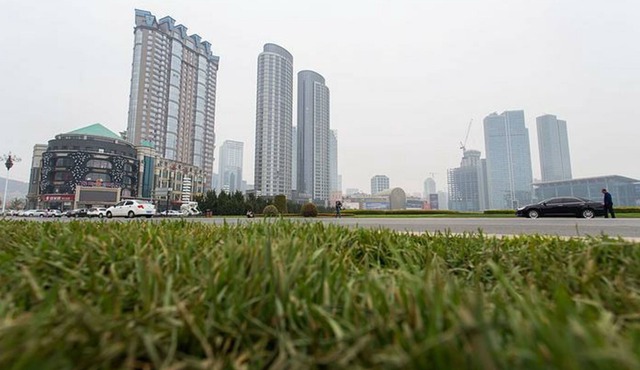 Xinghai Haiyue Bay Suites Apartment