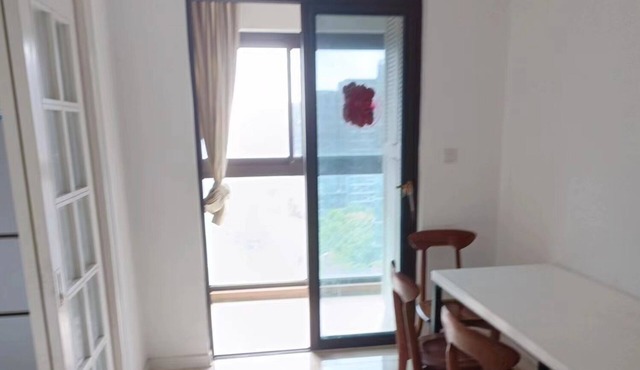 xinhongqiaoshoufu apartment welcome shanghai，nice to meet you~i will support you