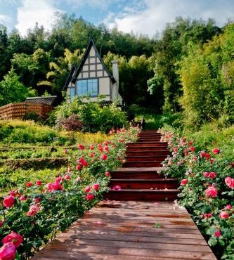 Ya'an Ten Miles of Blossoms · Wild Rose Hot Spring Village