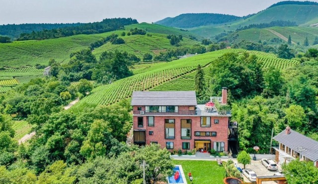 YOUTEA Holiday Villa