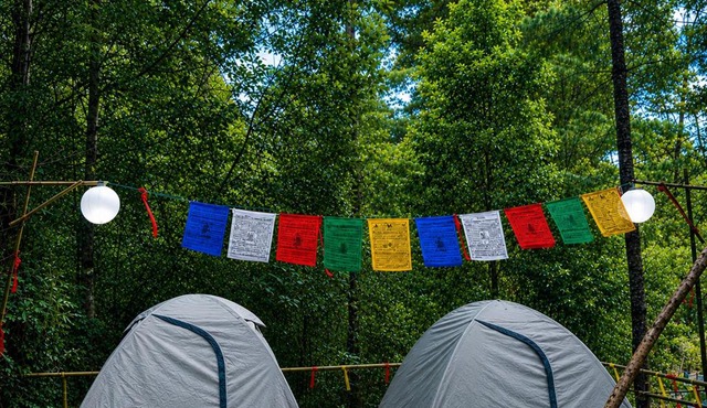 Zion Campsite