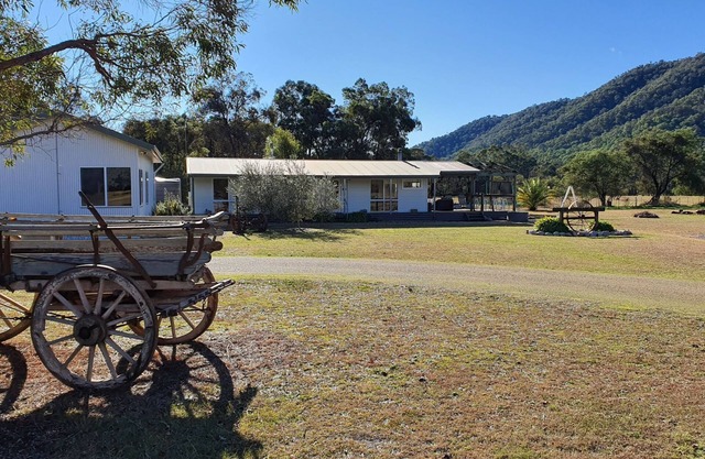 Feathertop 