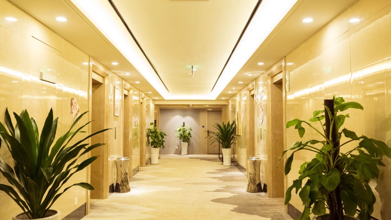 Photo of Others in Chengdu