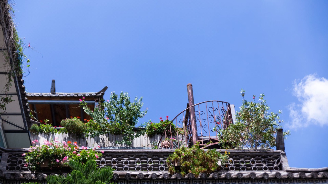 Photo of Others in Dali Ancient Town