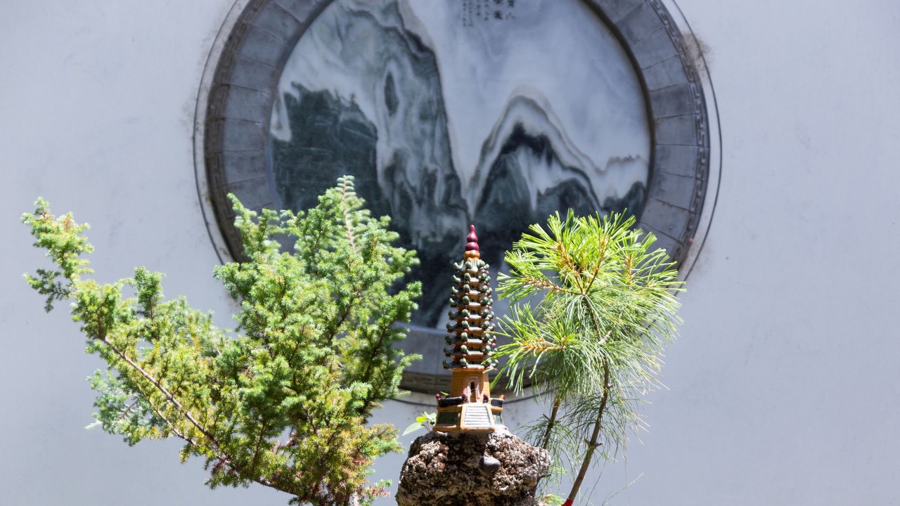 Photo of Others in Dali Ancient Town