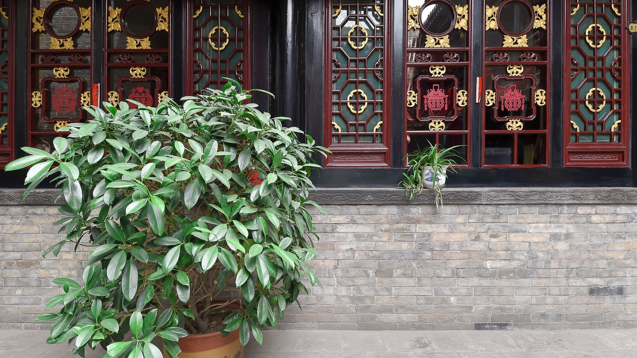 Photo of Buildings in Pingyao