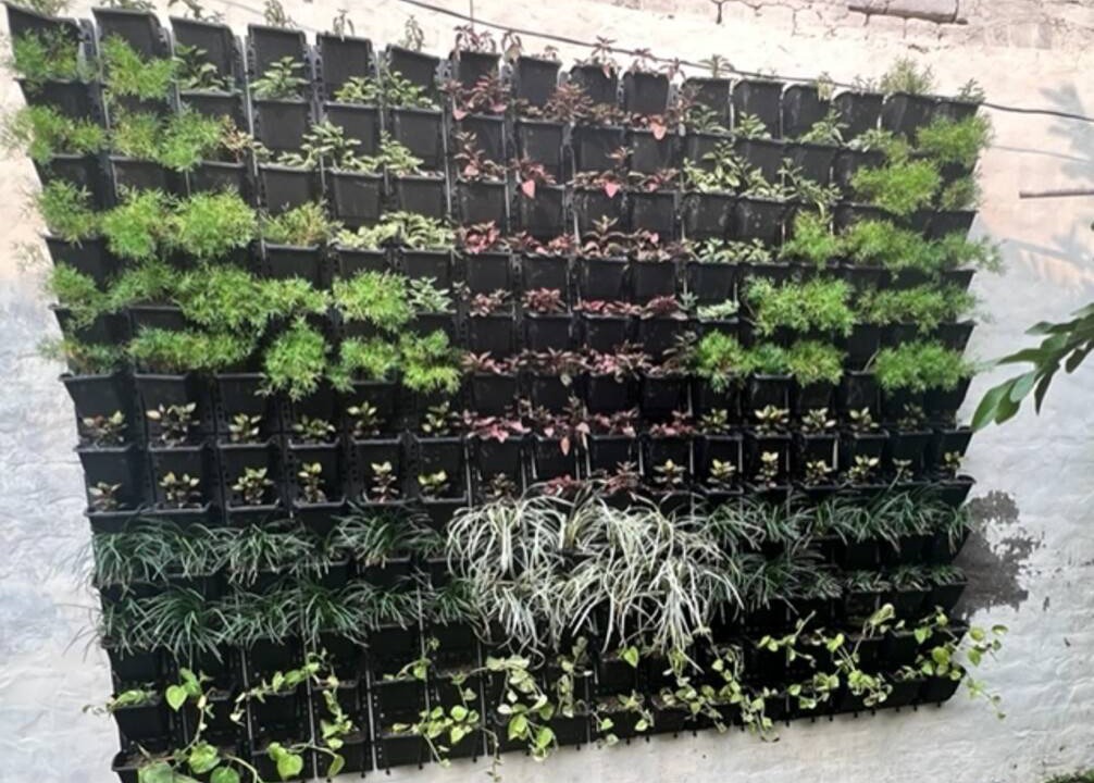 Photo of Outdoor in Rakabganj