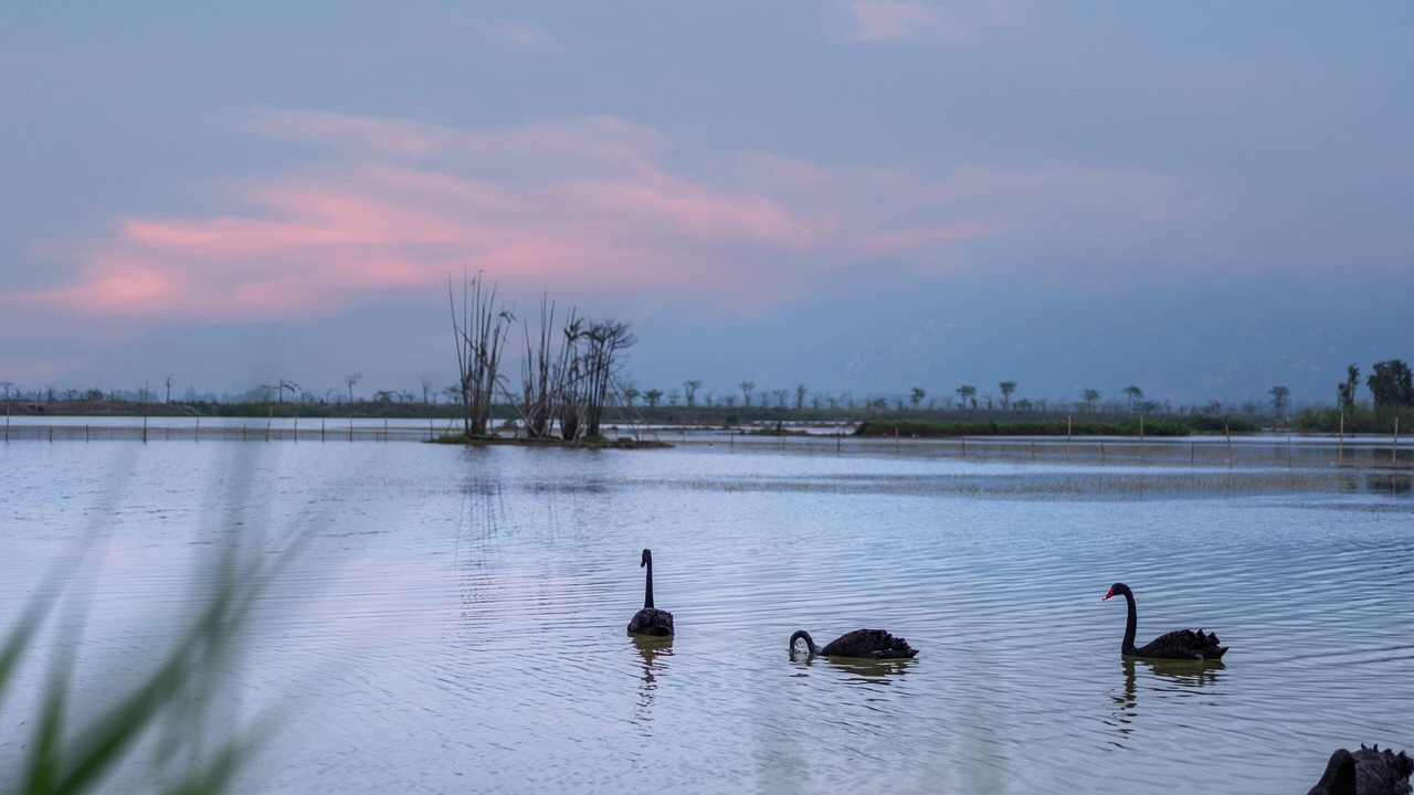 Photo of Others in Jiangmen