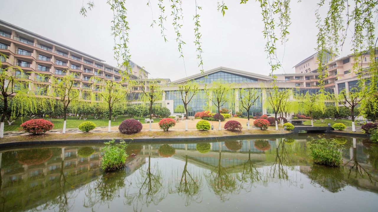 Photo of Others in Xiaoshan