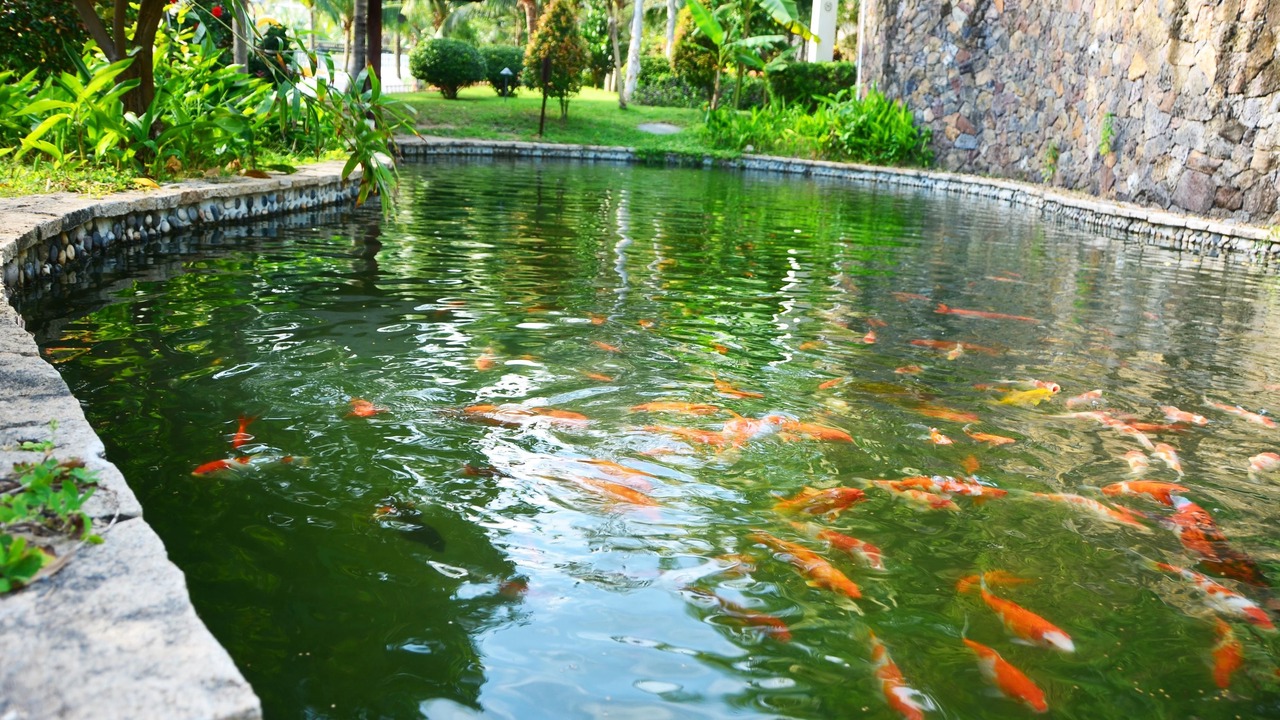 Photo of Outdoor in Haitang District