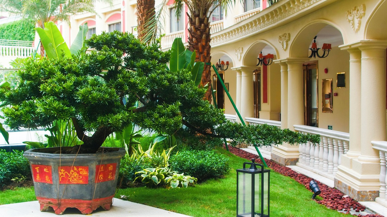 Photo of Outdoor in Chencun