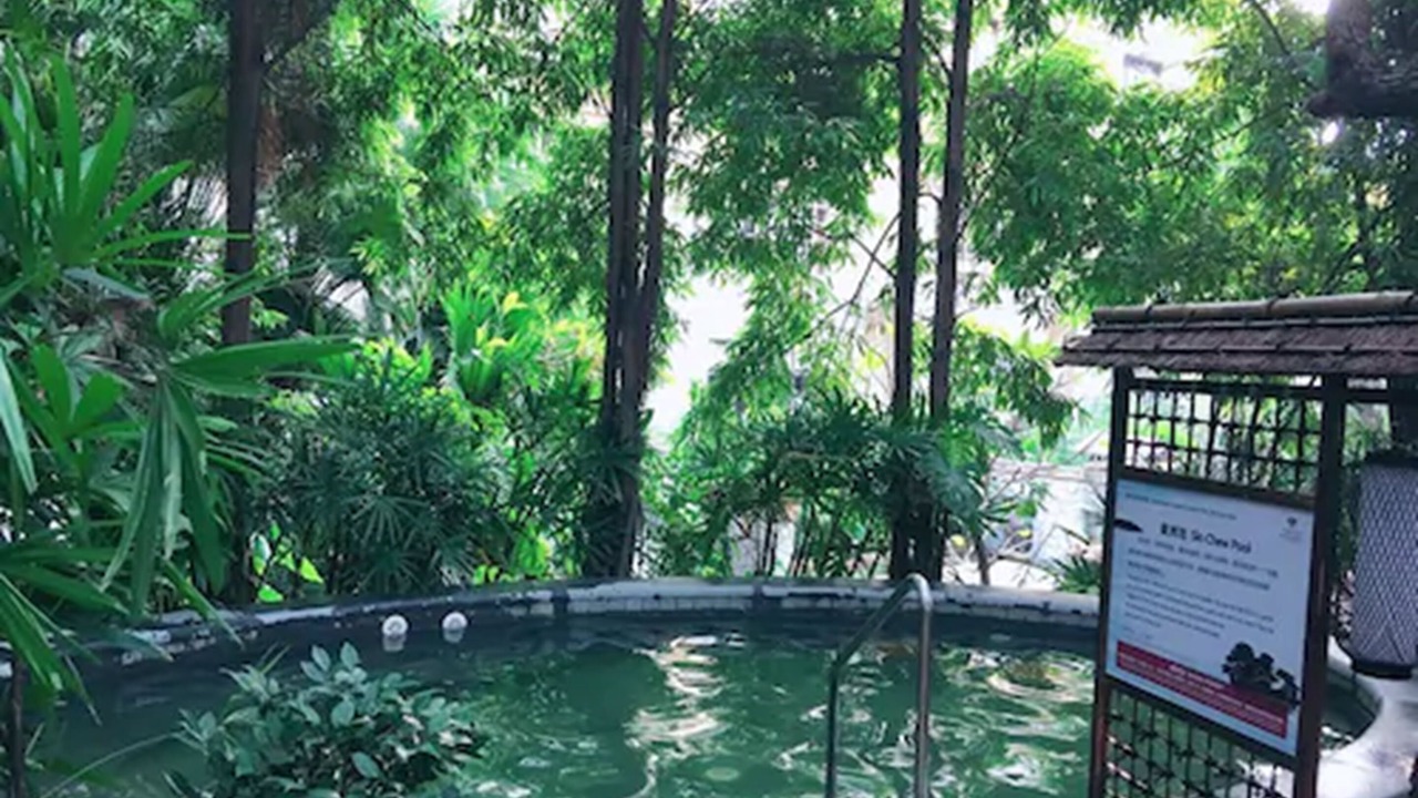 Photo of Others in Dongguan