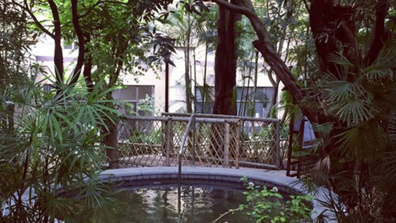Photo of Others in Dongguan