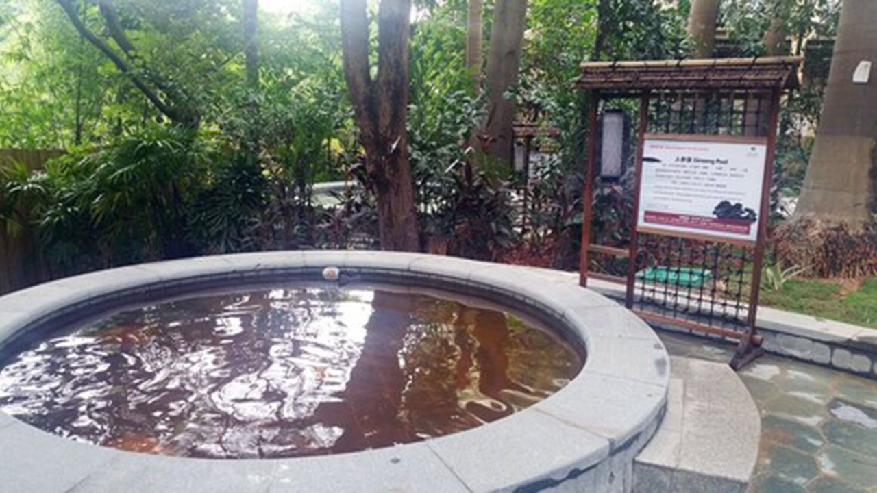 Photo of Others in Dongguan