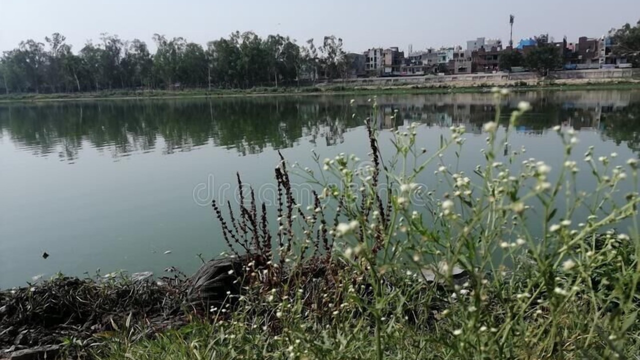 Photo of Others in Indirapuram