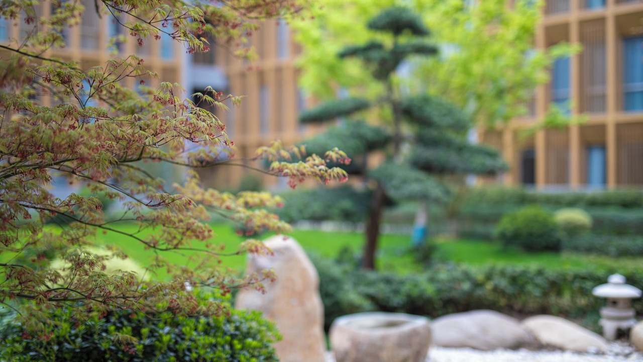 Photo of Outdoor in Guojiashi