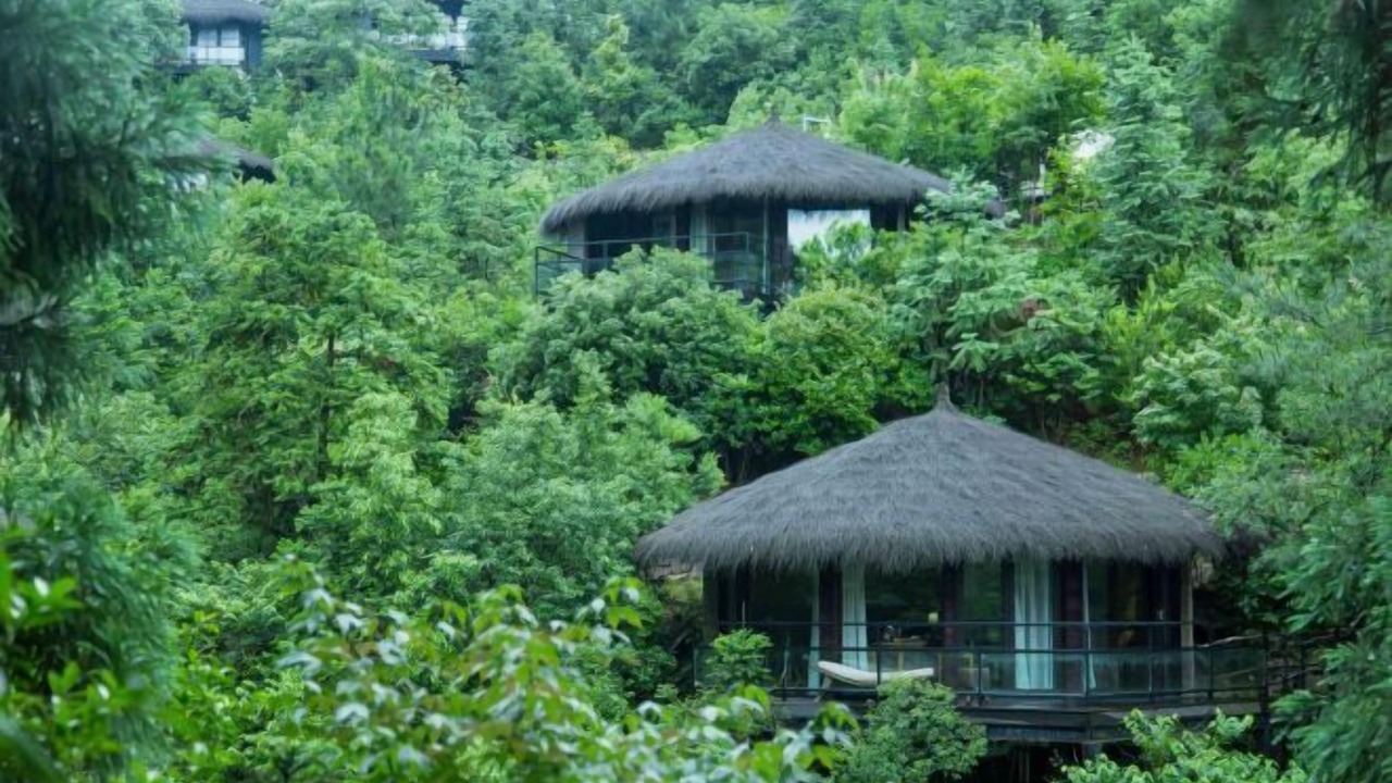 Photo of Outdoor in Moganshan
