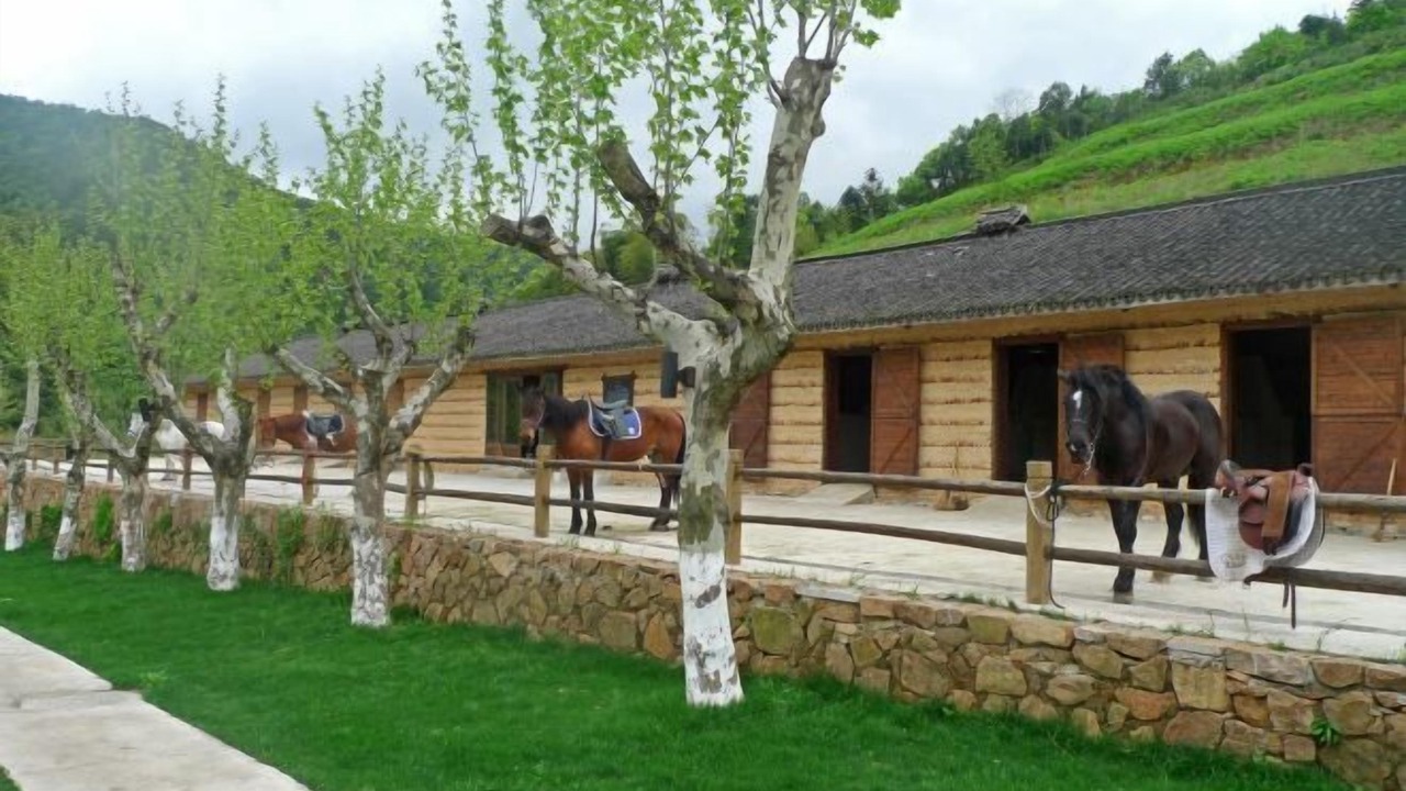 Photo of Others in Moganshan