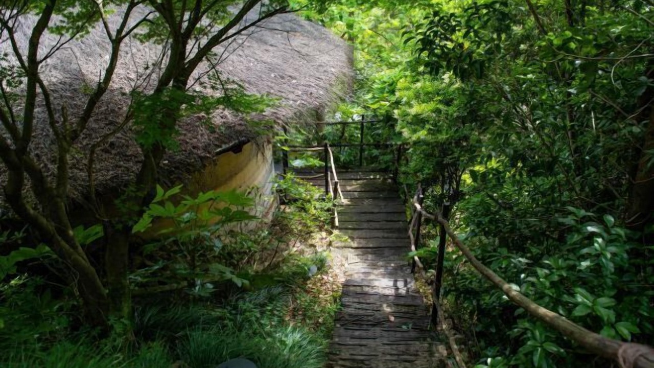 Photo of Others in Moganshan