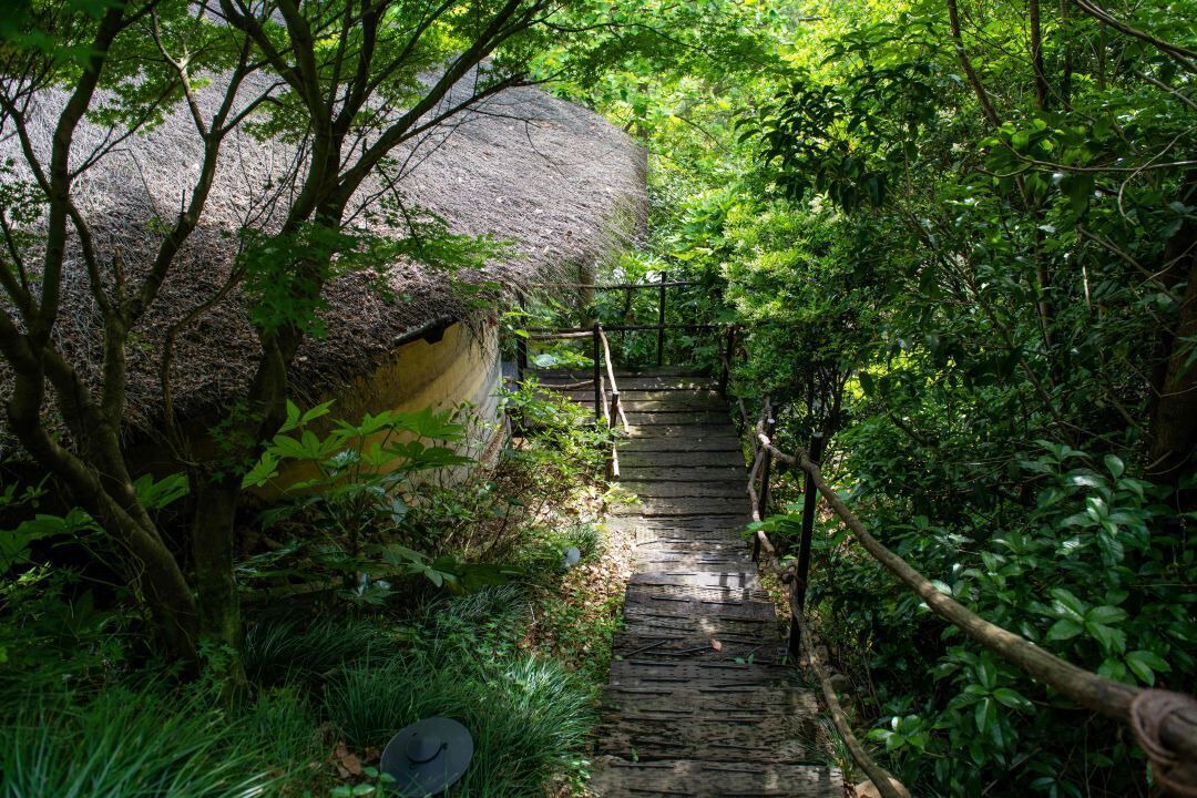 Photo of Others in Moganshan
