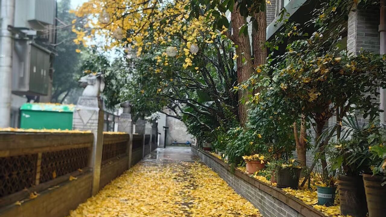Photo of Outdoor in Gaoxin