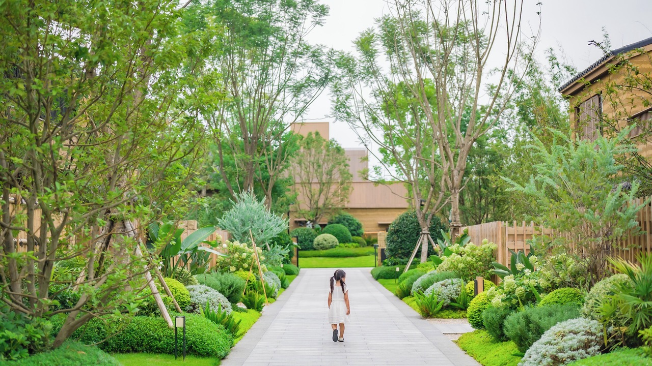 Photo of Outdoor in Wenjiang