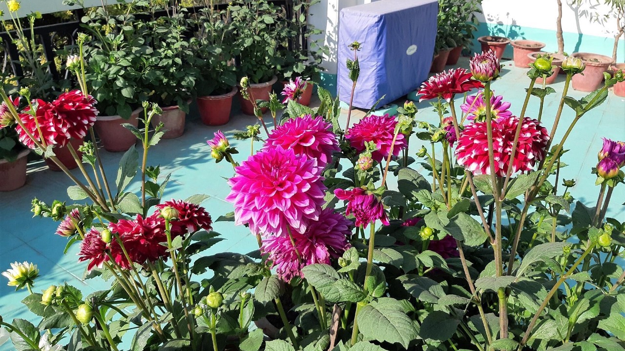 Photo of Outdoor in Gomti Nagar