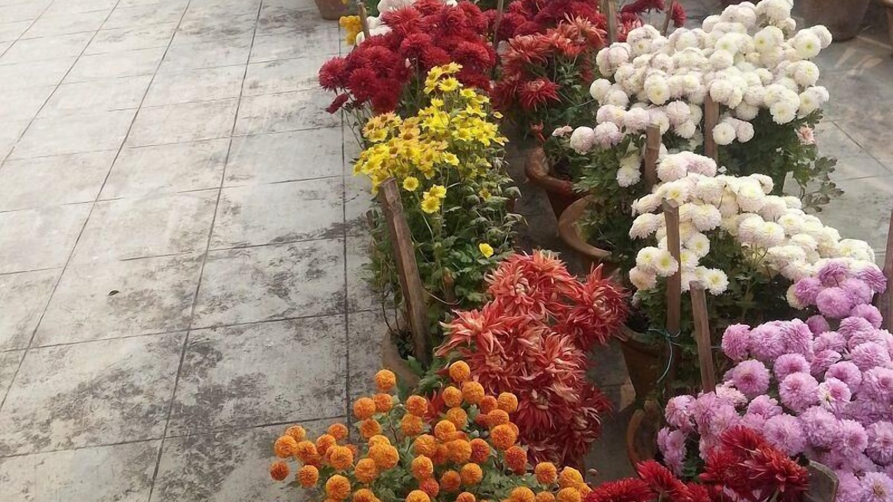 Photo of Outdoor in Gomti Nagar
