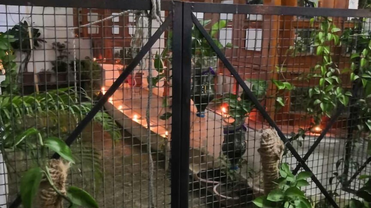 Photo of Outdoor in Gomti Nagar