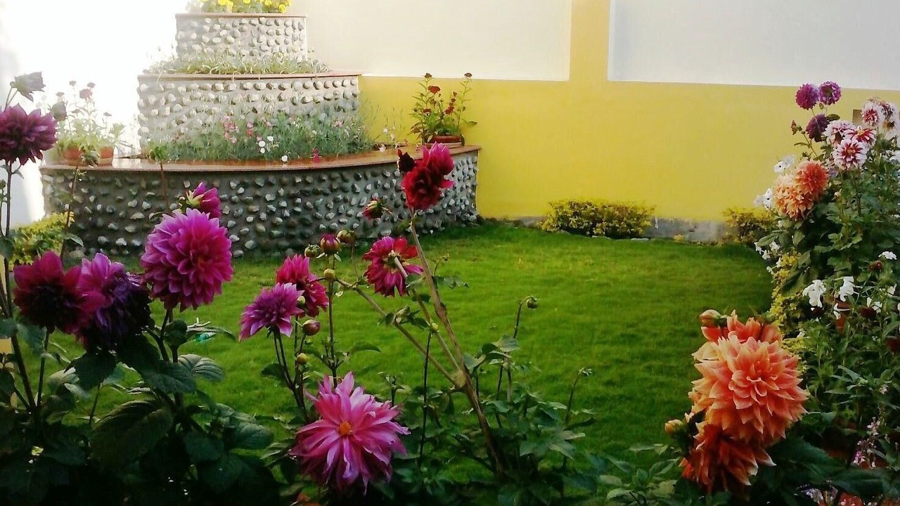 Photo of Outdoor in Gomti Nagar