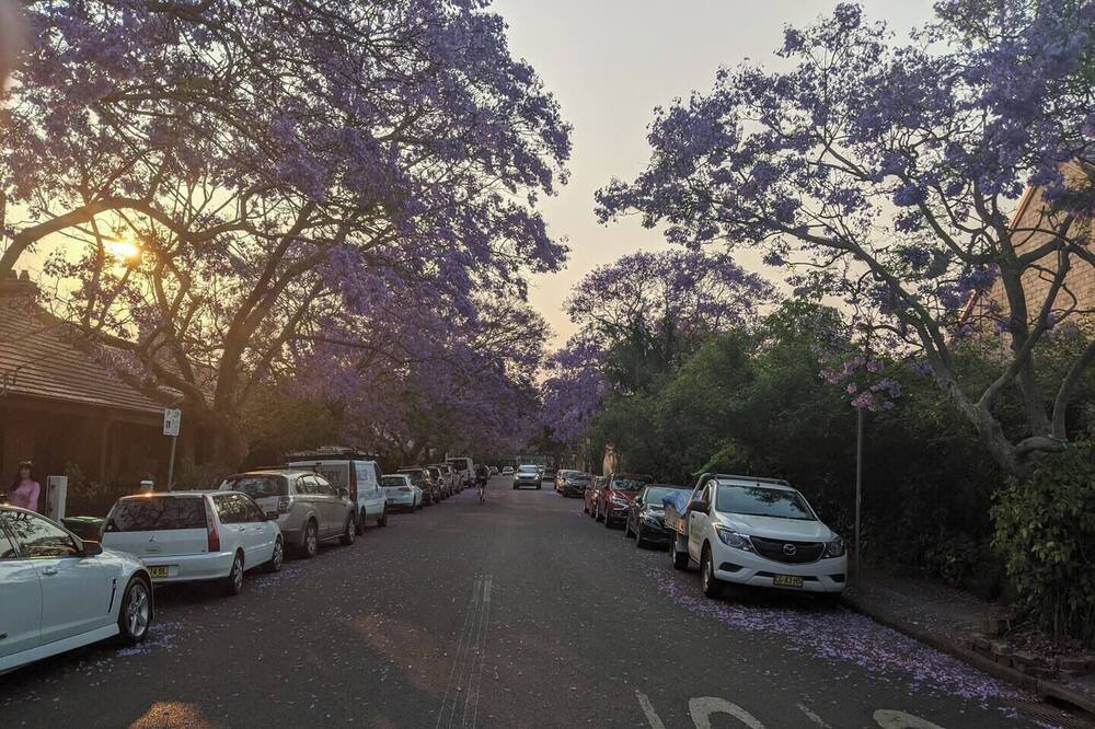 Photo of Outdoor in Erskineville