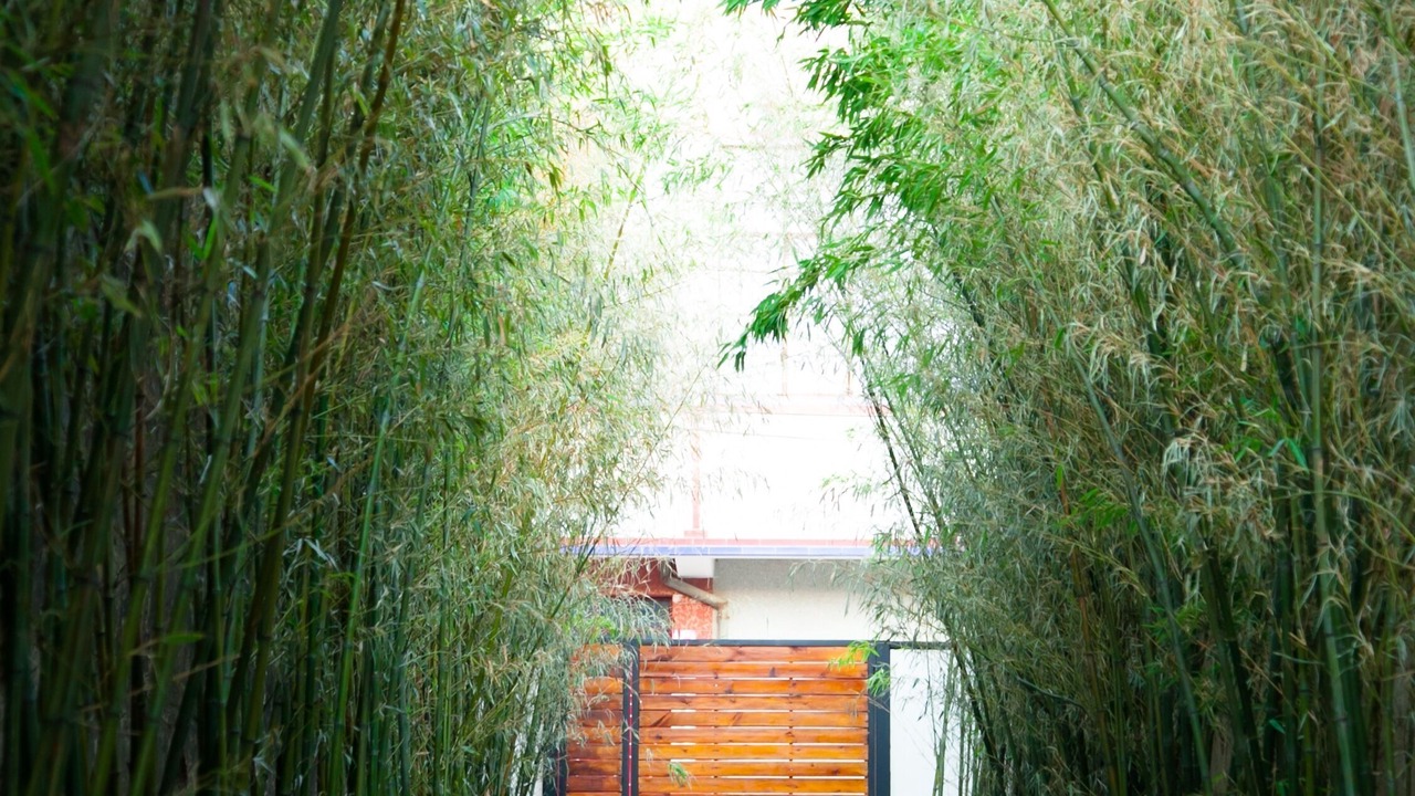 Photo of Outdoor in Xizhou