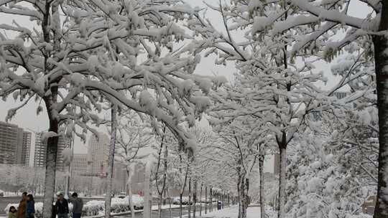 Photo of Outdoor in Dongsheng