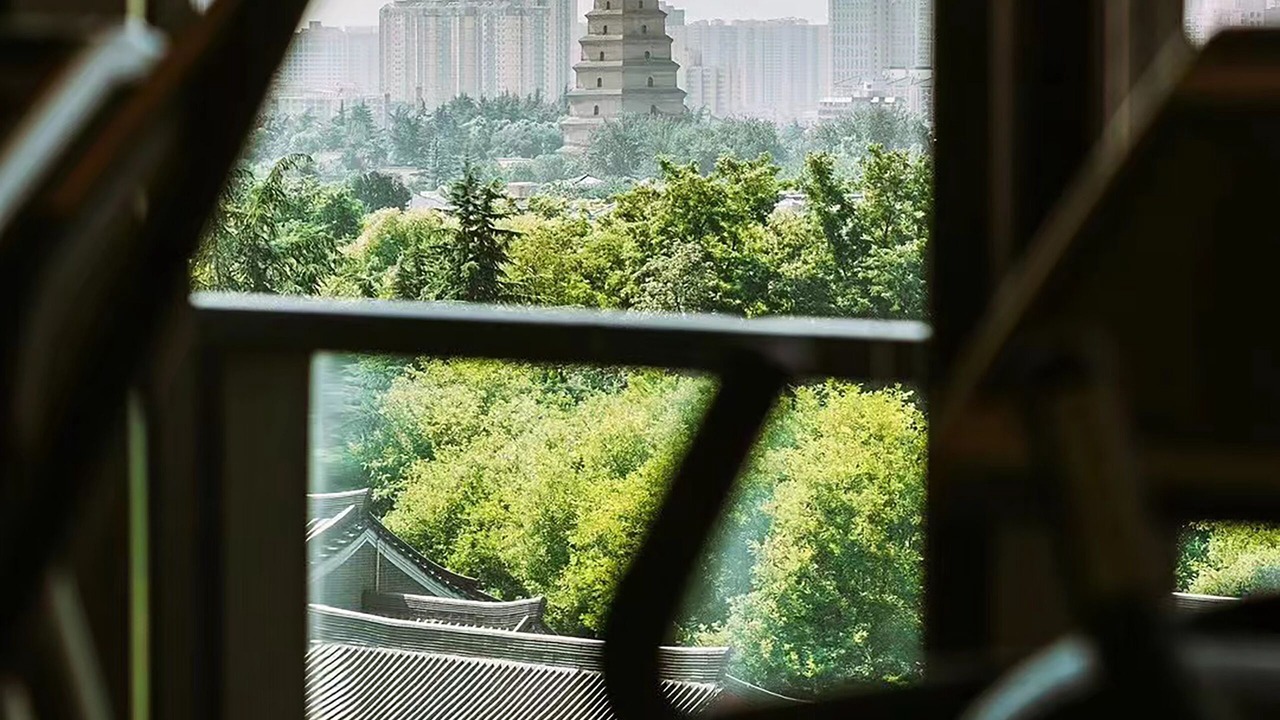 Photo of Others in Qujiang New District