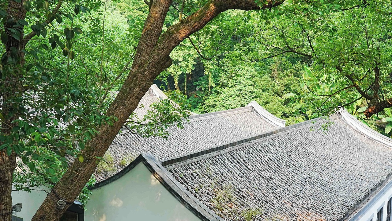 Photo of Outdoor in Xihu