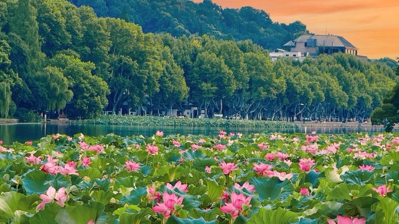 Photo of Others in Xihu
