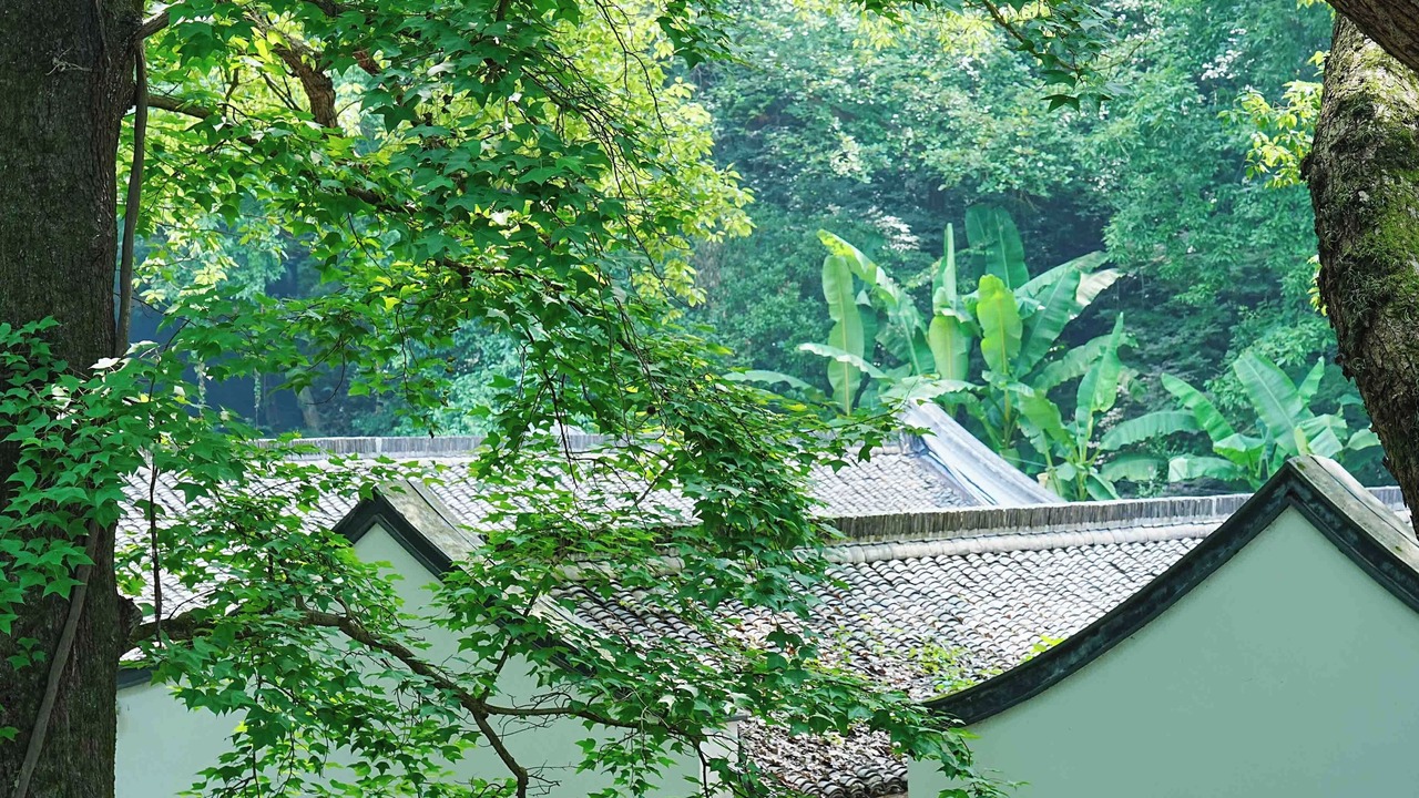Photo of Outdoor in Xihu