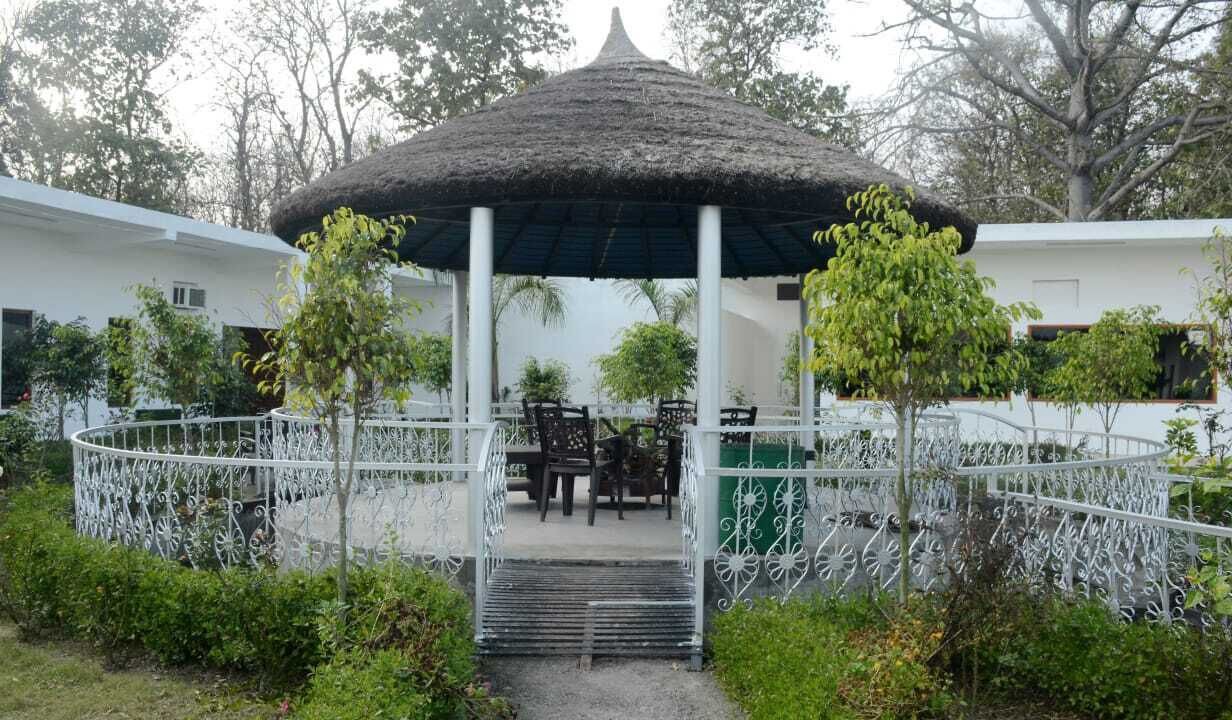 Photo of Outdoor in Palia