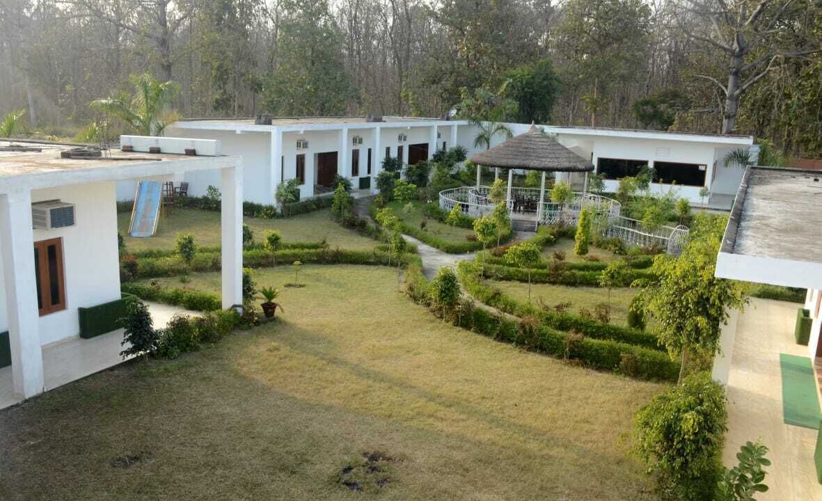 Photo of Outdoor in Palia