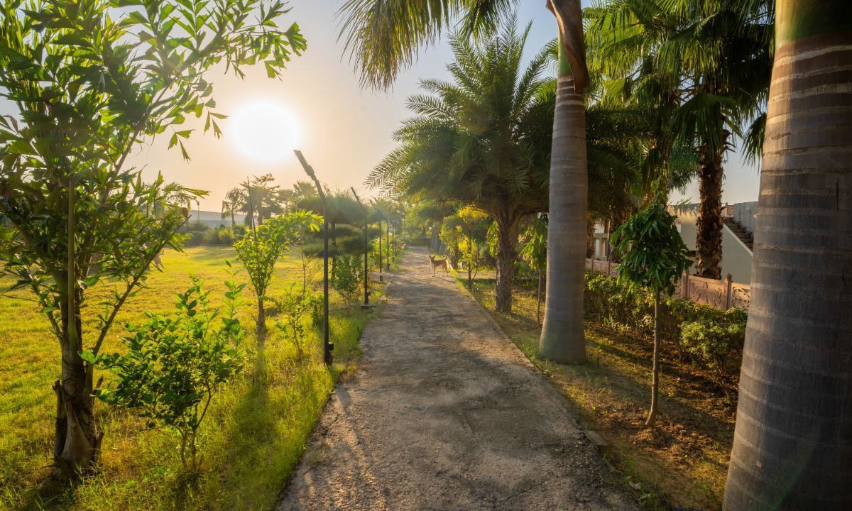 Photo of Outdoor in Sawai Madhopur