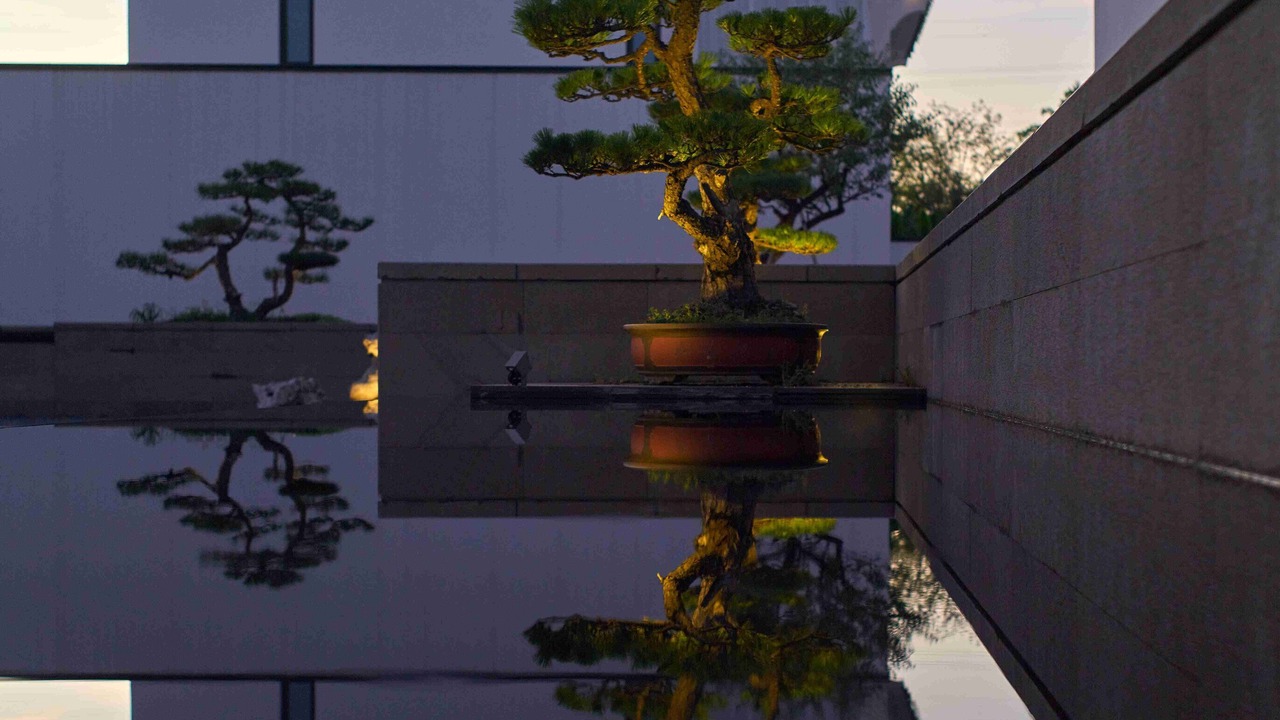 Photo of Outdoor in Kequiao