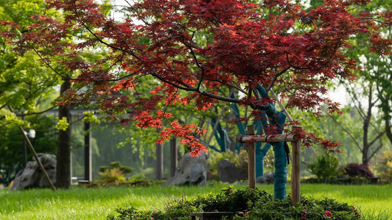 Photo of Outdoor in Kequiao