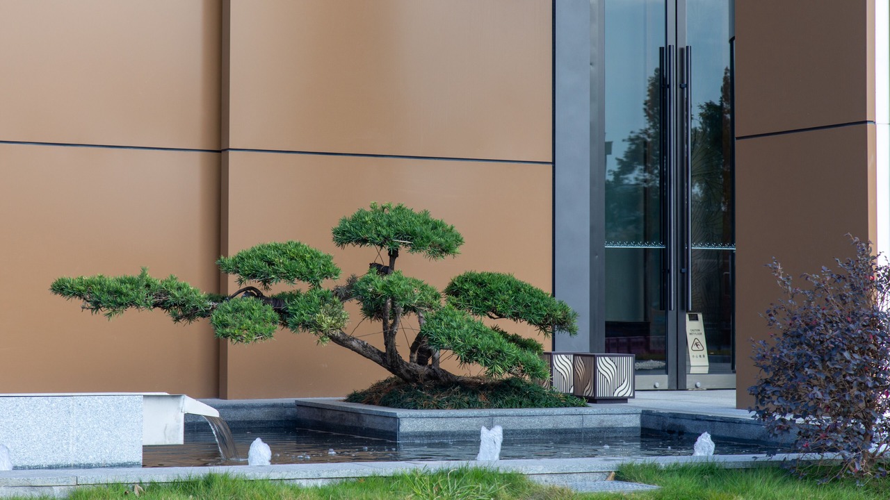 Photo of Outdoor in Huadu