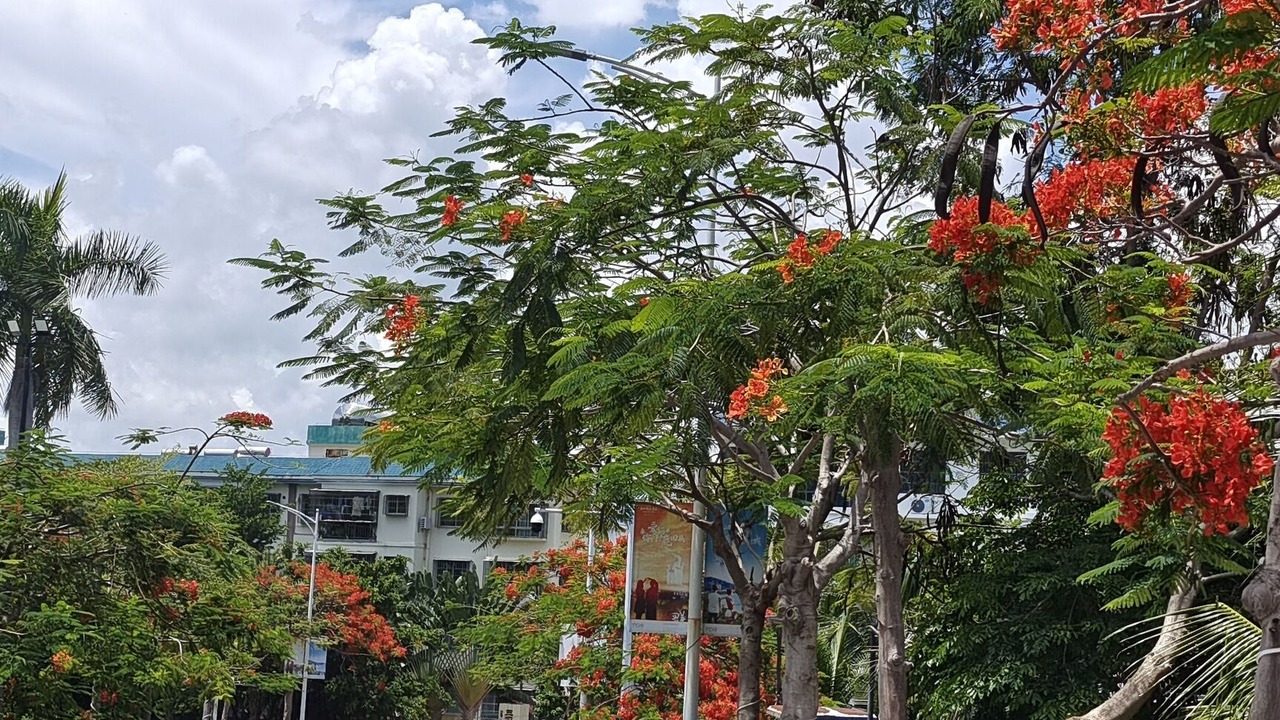 Photo of Outdoor in Sanya